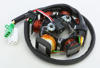 Stator Kit - For 2003 Yamaha TTR90 03-07 TTR90E Stator Kit - For 2003 Yamaha TTR90 03-07 TTR90E
