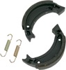 SBS Rear Brake Shoes with Springs 2028