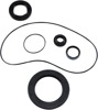 James Gaskets Transmission Oil Seal Kit 12067-AK Fits Big Twin