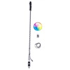 Deluxe LED Lighted Whip - 5' Tall w/ Black Housing Deluxe LED Lighted Whip - 5' Tall w/ Black Housing