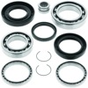 07-13 Honda TRX420FM/FE FourTrax Rancher 4x4/ES (02) Rear Differential Bearing & Seal Kit 07-13 Honda TRX420FM/FE FourTrax Rancher 4x4/ES (02) Rear Differential Bearing & Seal Kit
