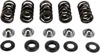 Hot Cams Valve Spring Kit For 01-05 Yamaha YFM660R Raptor