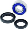 06-09 Arctic Cat 250 2x4 Lower Steering Bearing Kit 06-09 Arctic Cat 250 2x4 Lower Steering Bearing Kit