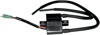 External Ignition Coil Black - For Arctic Cat Mountain Cat Panther External Ignition Coil Black - For Arctic Cat Mountain Cat Panther