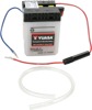 Yuasa 6N4-2A-4 Conventional 6 Volt Battery