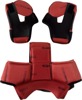 ICON Domain Helmet Liner and Cheek Pads Set Red Large - Replacement liner and pads for ICON Domain helmet, Large