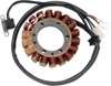 Stator Kit - For 98-01 Yamaha YFM350FW BigBear YFM350FX Wolverine Stator Kit - For 98-01 Yamaha YFM350FW BigBear YFM350FX Wolverine