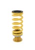 Road & Track Coilover System Fits 17-21 Civic Type R FK8 23 Civic Type R FL5