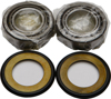 Steering Head Bearing & Seal Kit Fits 03-21 DRZ125, 02-22 RM85, 03-06 KLX125
