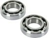 Main Bearings and Seal Kits - Bearing/Seal Kit Rmz250 07-09