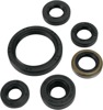 Oil Seal Kit - For 08-14 Kawasaki KFX450R
