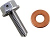 Magnetic Drain Plug w/ Washer - M8x1.25 x 25mm Long