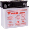 Yuasa YB16CL-B Yumicron 12 Volt Battery