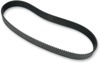 Primary Drive Replacement Belt - Replcmnt Belt 8mm 1-1/2" 144T