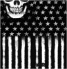 Lethal Threat American Skull Facemask 100% Polyester