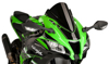 Carbon Racing Windscreen Carbon Racing Windscreen