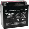 AGM Maintenance Free Battery YTX14L-BS