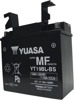 AGM Maintenance Free Battery YT19BL-BS