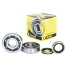 Crankshaft Bearing & Seal Kit