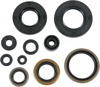 Oil Seal Kit - For 90-92 Kawasaki KX250 91-94 KDX250