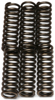 CSK Series Clutch Springs +15%