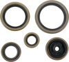 Oil Seal Kit - Fits 2000-2018 KTM/Husqvarna 200-300cc 2-Stroke