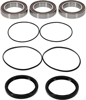 Pw Premium Wheel Bearing Pw Premium Wheel Bearing