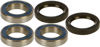 All Balls Rear Wheel Bearing & Seal Kit
