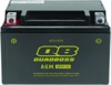 09-20 Arctic Cat 150 Utility 2x4 AT Maintenance-Free AGM Battery 09-20 Arctic Cat 150 Utility 2x4 AT Maintenance-Free AGM Battery