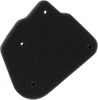 Reusable Foam Air Filter - For 02-11 Yamaha ZUMA 50 Reusable Foam Air Filter - For 02-11 Yamaha ZUMA 50