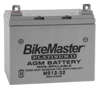 AGM Platinum II Battery - Replaces SLA12-32 AGM Platinum II Battery - Replaces SLA12-32
