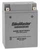 AGM Platinum II Battery - Replaces YB14A-A1 AGM Platinum II Battery - Replaces YB14A-A1