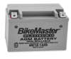 AGM Platinum II Battery AGM Platinum II Battery