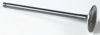 Black Diamond Exhaust Valve