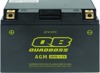 QuadBoss AGM Battery QB9B-4-FA Maintenance-Free QuadBoss AGM Battery QB9B-4-FA Maintenance-Free