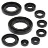 Oil Seal Kit Oil Seal Kit