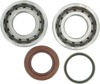 Main Bearings and Seal Kits - Bearing/Seal Kit Ktm