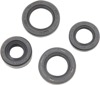 Oil Seal Kit