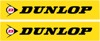 Generic Fork and Swingarm Stickers - Dunlop Yl Frk/Swng Kit '02 Fx