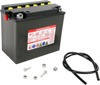 Yuasa YB16HL-A-CX 12V Yumicron Battery