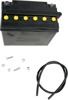Yuasa YB16HL-A-CX 12V Yumicron Battery