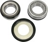 Pivot Works Steering Stem Bearing Kit Pivot Works Steering Stem Bearing Kit