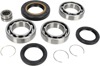 All Balls Rear Differential Bearing & Seal Kit - For Honda TRX420/TRX500/TRX520 w/ Solid Axle