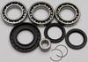 All Balls Rear Differential Bearing & Seal Kit - For Honda TRX420/TRX500/TRX520 w/ Solid Axle