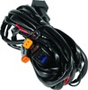 QuadBoss LED Wire Harness Dual DT with Relay and Switch