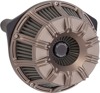 Arlen Ness 10-Gauge Inverted Air Cleaner Titanium For 17-24 HD Touring/Softail
