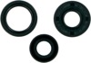 Oil Seal Kit - Fits 85-87 ATC250ES, ATC250SX, TRX250 & 88-00 TRX300