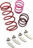 EPI Mudder Clutch Kit AW455750