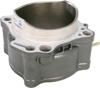 Standard and Big Bore Kits - Cw Standard Cylinder Only