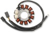 Ricks Motorsport Stator Snow